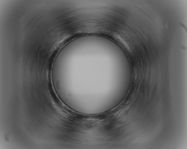 X0000091640542200708230951