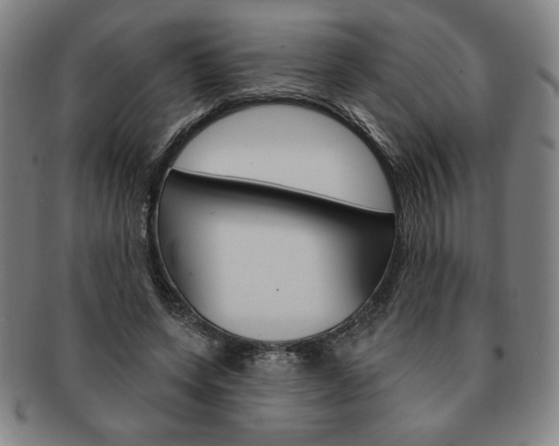 X0000091640543200708230951