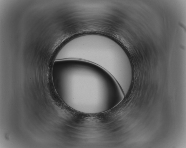 X0000091640544200708230951