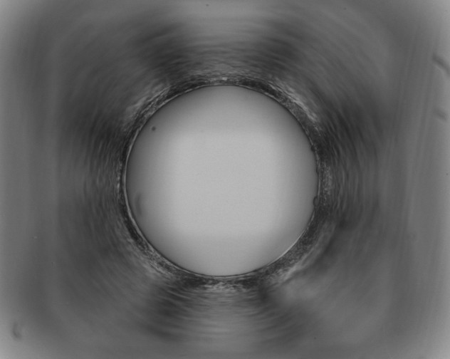 X0000091640545200708230951