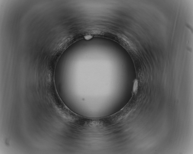 X0000091640546200708230951