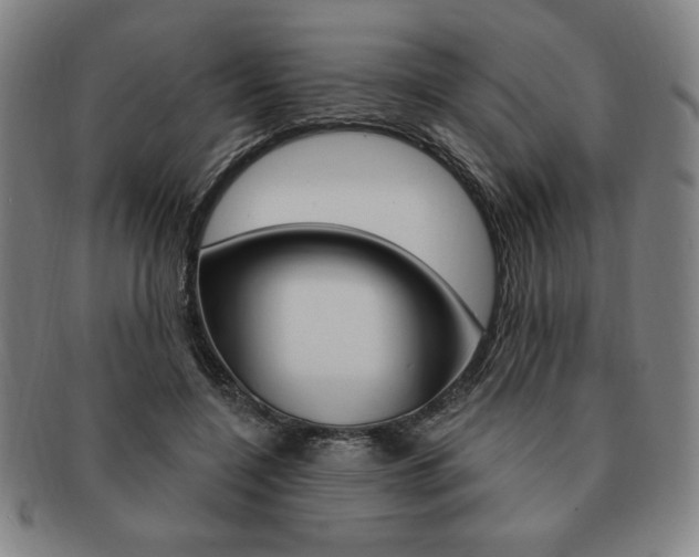 X0000091640548200708230951