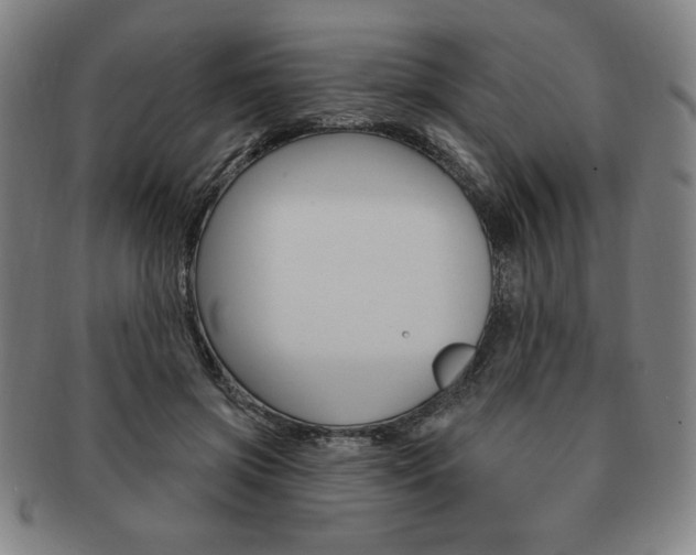 X0000091640549200708230951