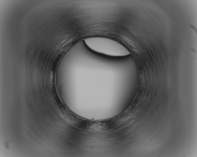 X0000091640550200708230951