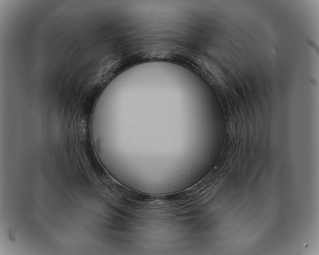 X0000091640551200708230951