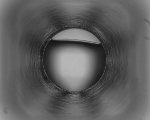 X0000091640552200708230951