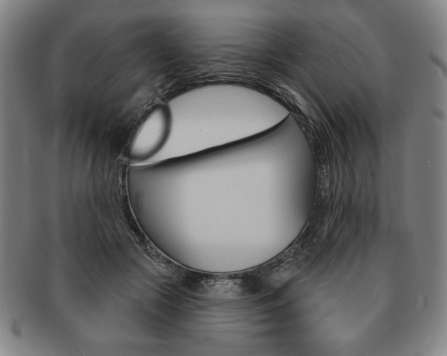 X0000091640553200708230951