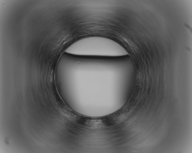 X0000091640554200708230951
