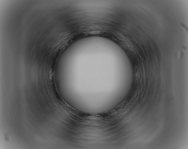 X0000091640555200708230951