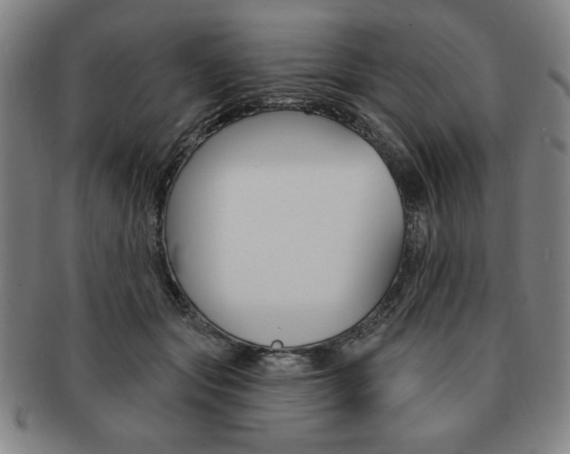 X0000091640557200708230951