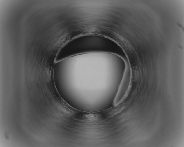 X0000091640558200708230951