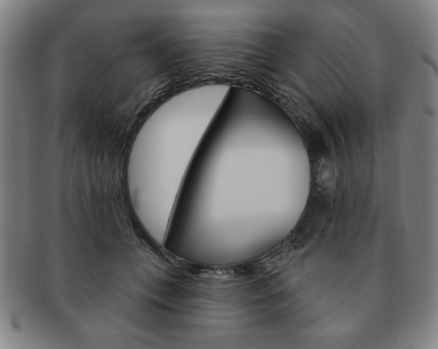 X0000091640559200708230951