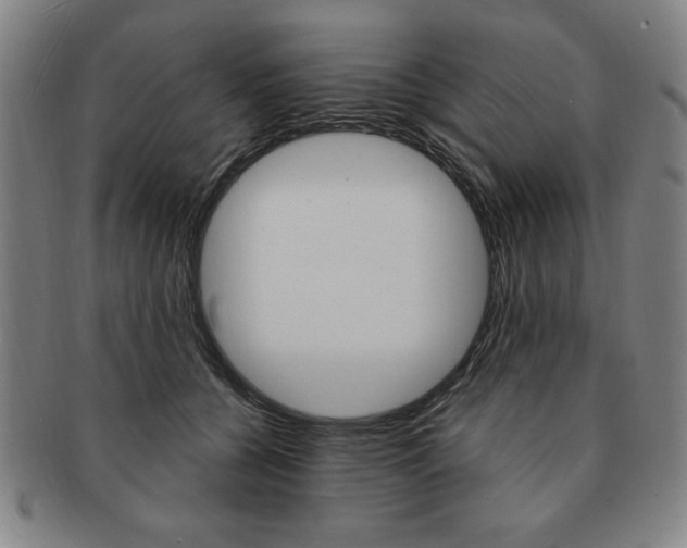 X0000091640560200708230951