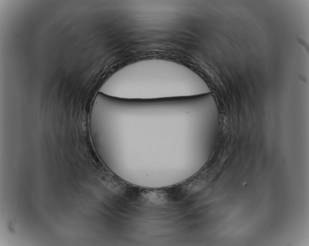 X0000091640561200708230951