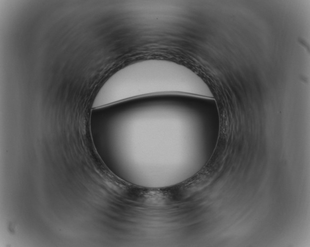 X0000091640562200708230951