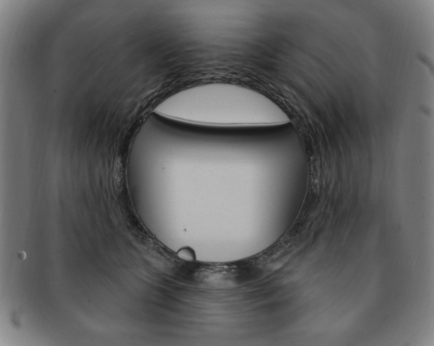 X0000091640563200708230951