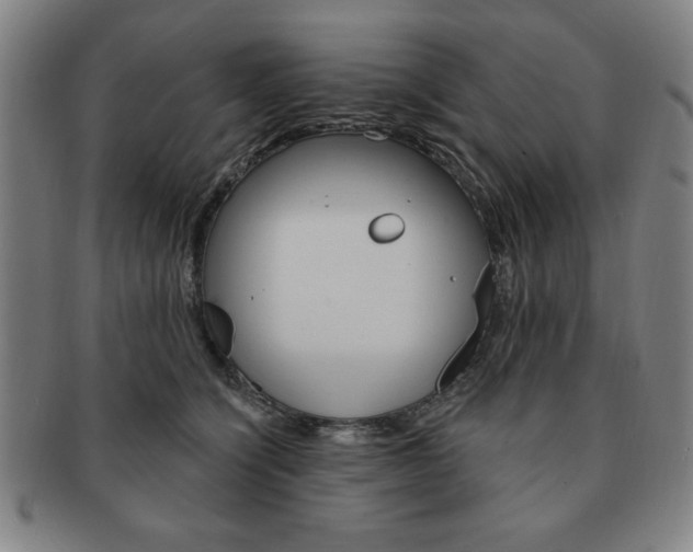 X0000091640564200708230951