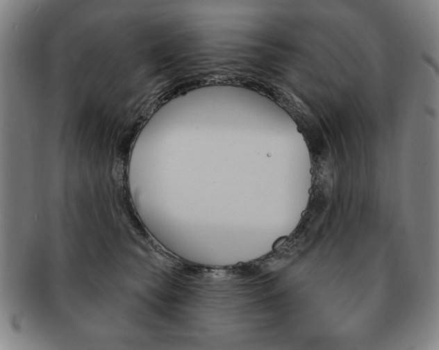 X0000091640565200708230951
