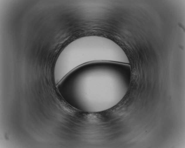 X0000091640566200708230951