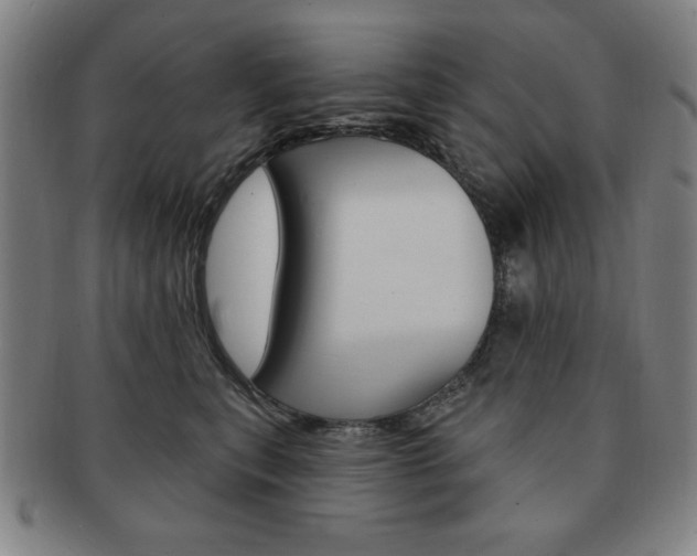 X0000091640567200708230951