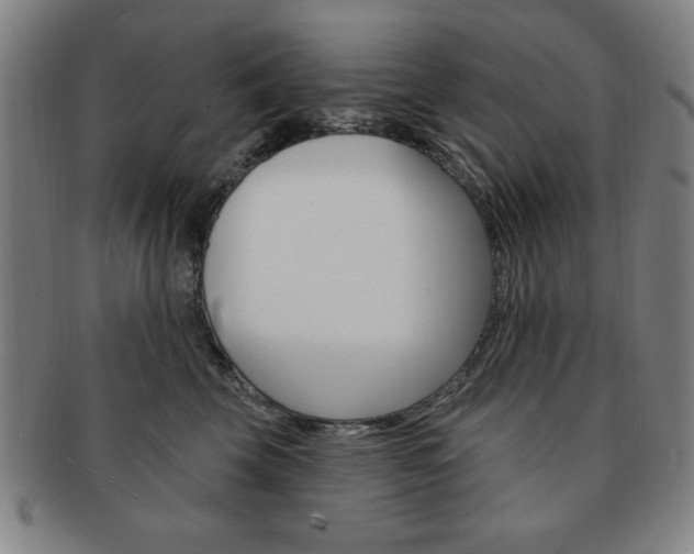 X0000091640569200708230951