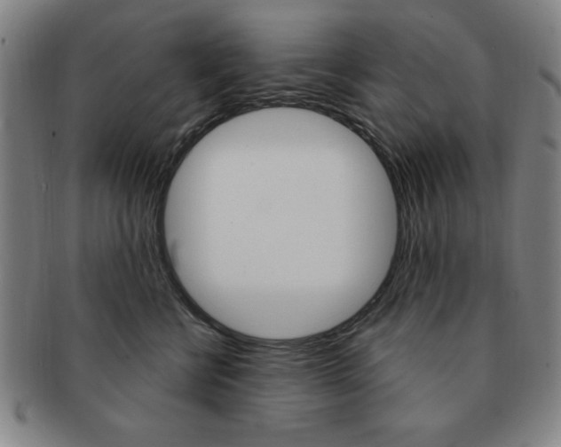 X0000091640570200708230951