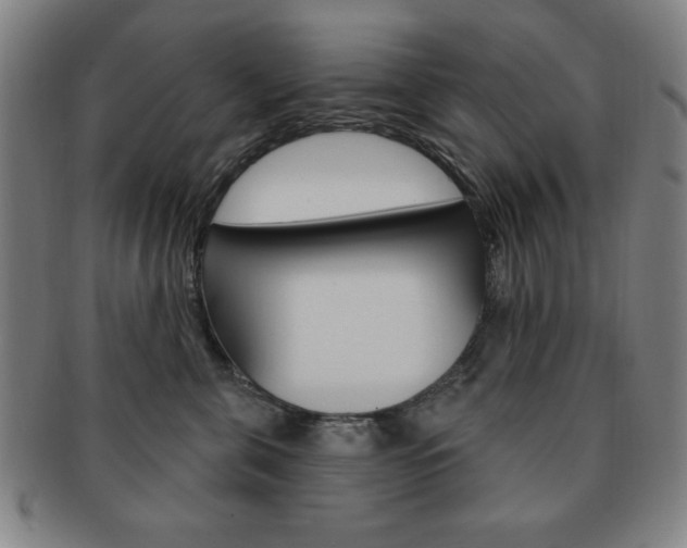 X0000091640571200708230951
