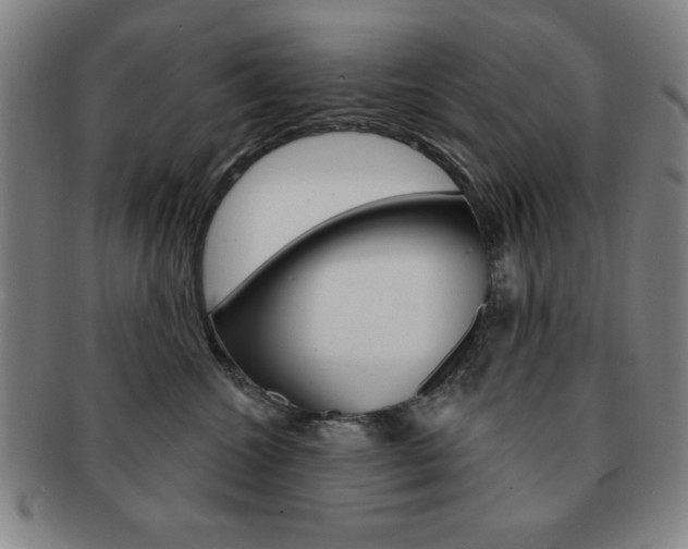 X0000091640572200708230951