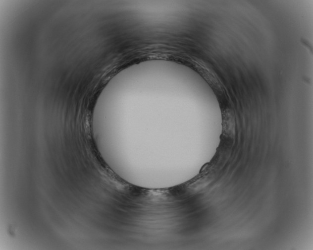 X0000091640573200708230951