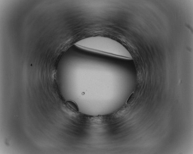 X0000091640574200708230951