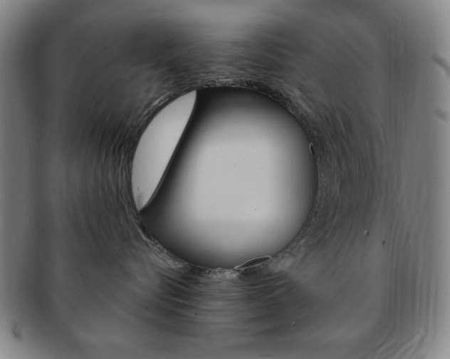 X0000091640576200708230951