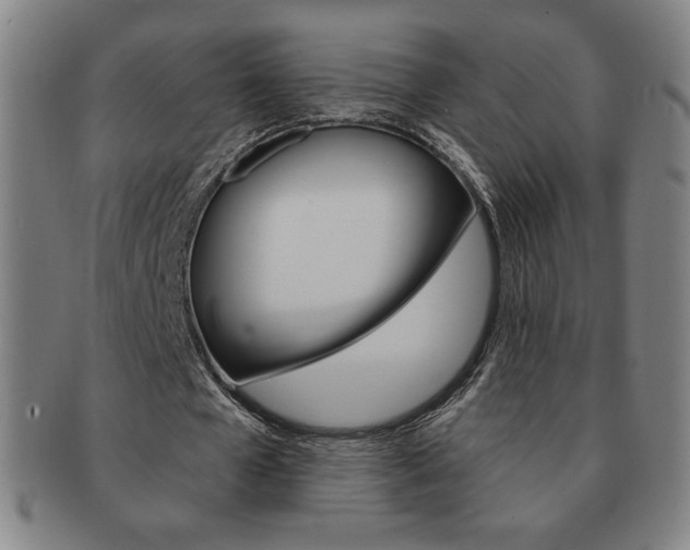 X0000091640577200708230950