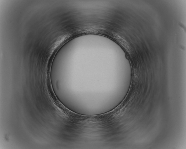 X0000091640578200708230950