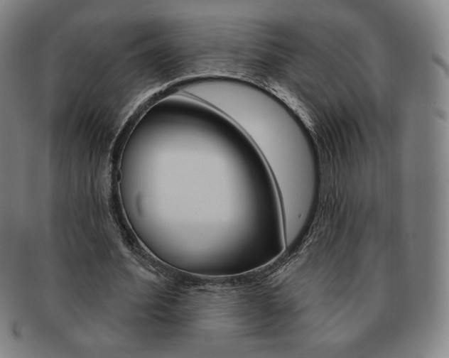 X0000091640580200708230950