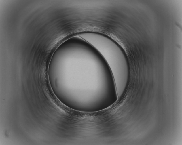 X0000091640581200708230950