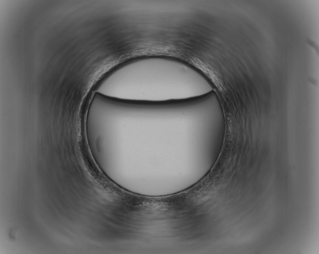X0000091640582200708230950