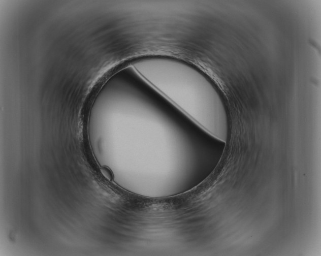 X0000091640584200708230950