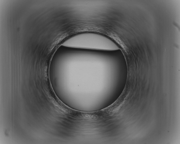 X0000091640585200708230950