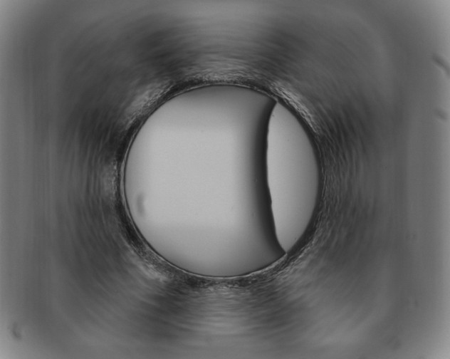 X0000091640586200708230950