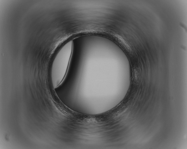 X0000091640588200708230950