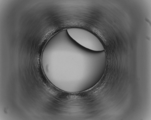 X0000091640590200708230950