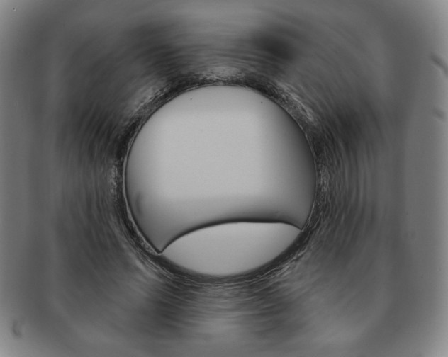 X0000091640591200708230950