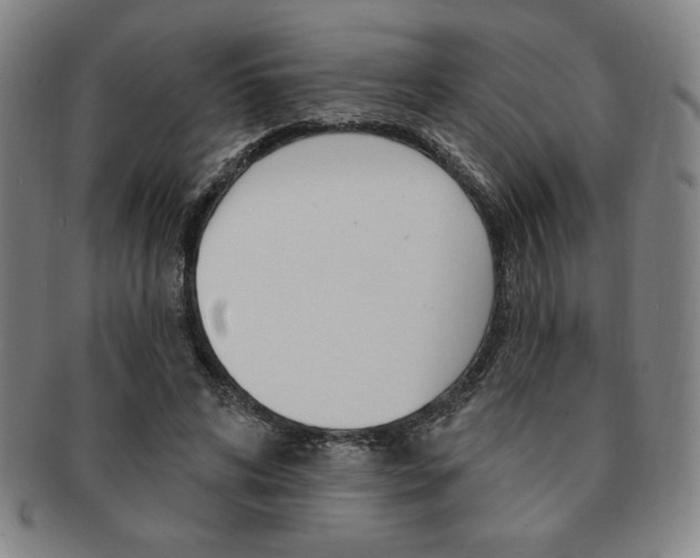 X0000091640592200708230950