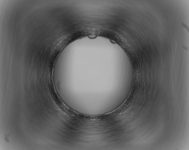 X0000091640594200708230950
