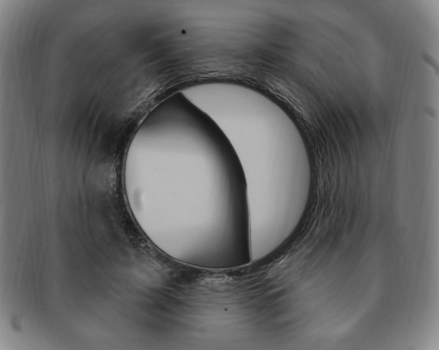 X0000091640595200708230950