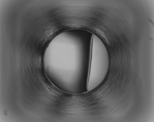 X0000091640596200708230950