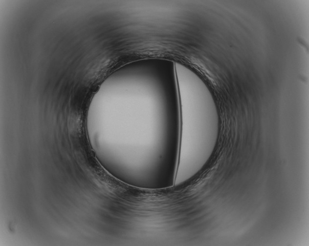 X0000091640597200708230950