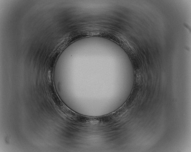 X0000091640598200708230950