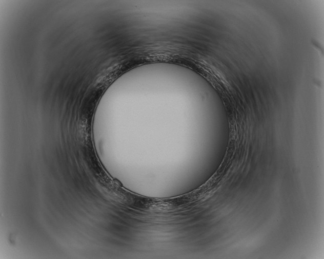 X0000091640599200708230950