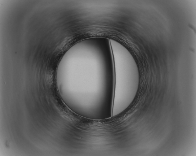 X0000091640600200708230950